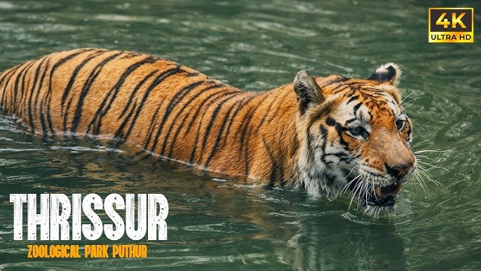 Botanical Walks inside Thrissur Zoological Gardens