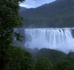 Athirapally Waterfalls Deep Forest Canopy