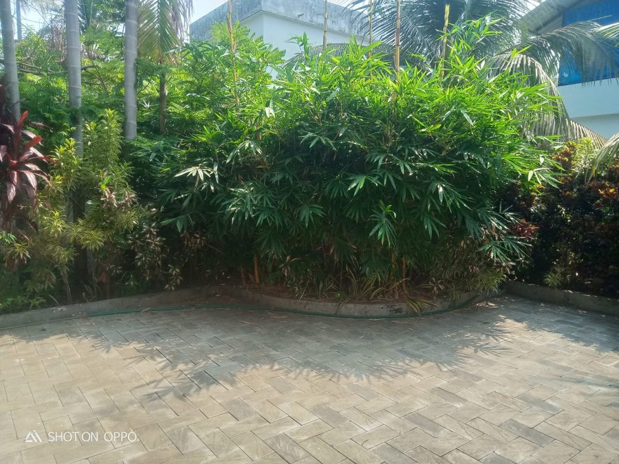 Frontyard & Garden