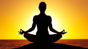 Private Garden Yoga and Meditation Sessions for Seniors